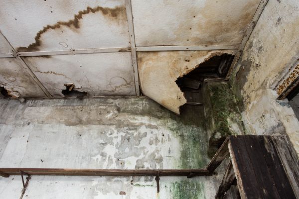 Water Damage Service in Pflugerville
