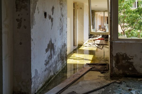 Cost of Water Removal Service in Pflugerville