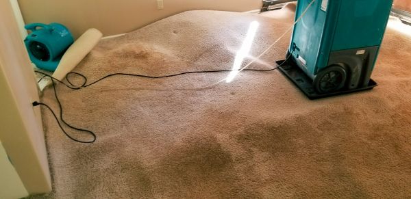 Cost of Carpet Water Extraction in Pflugerville