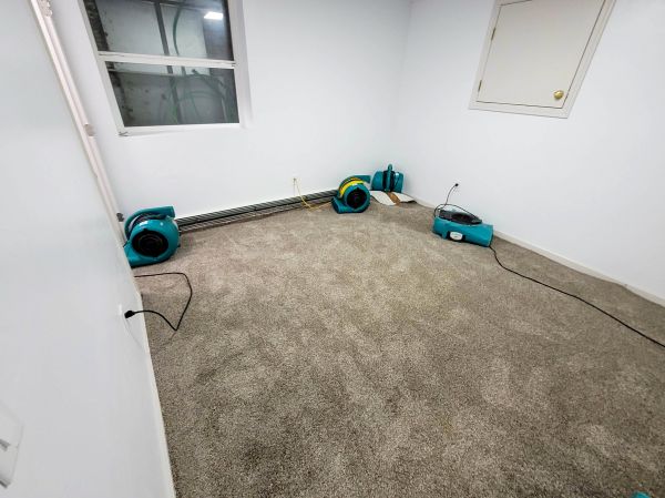 Flood Restoration Service in Pflugerville
