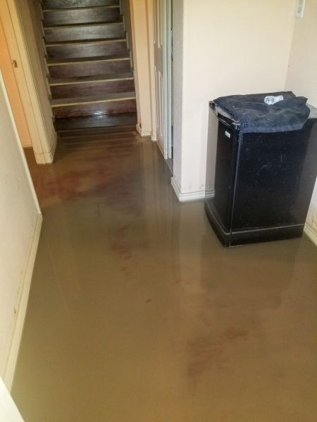 Cost of Emergency Water Removal in Pflugerville