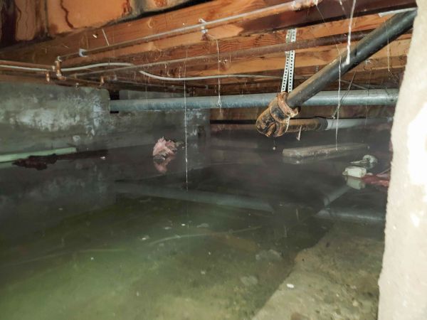 Cost of Crawlspace Water Restoration in Pflugerville